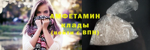 мдпв Краснослободск