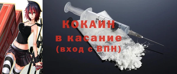 мдпв Краснослободск