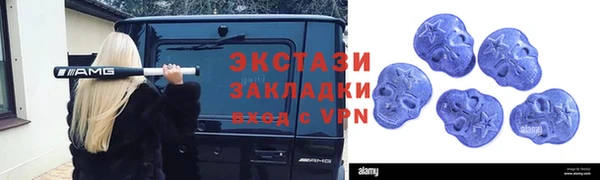 мдпв Краснослободск
