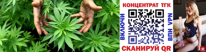 ТГК THC oil  магазин  наркотиков  Тбилисская 